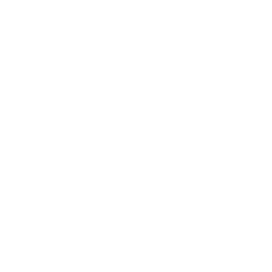 World NRI Council